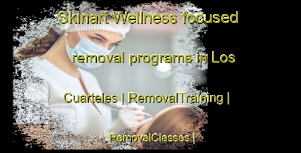 Skinart Wellness-focused removal programs in Los Cuarteles | RemovalTraining | RemovalClasses | SkinartTraining-Mexico